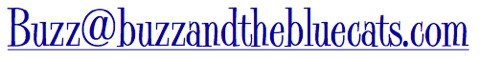 Pasted Graphic 1